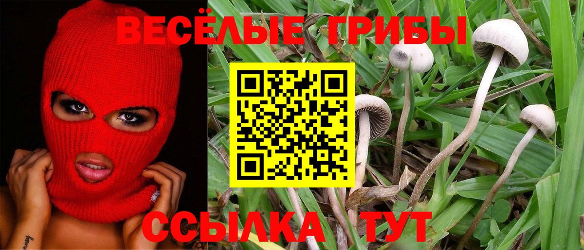 Псилоцибиновые грибы ЛСД  Галлюциногенные грибы мицелий  Тихвин  Вход с VPN 