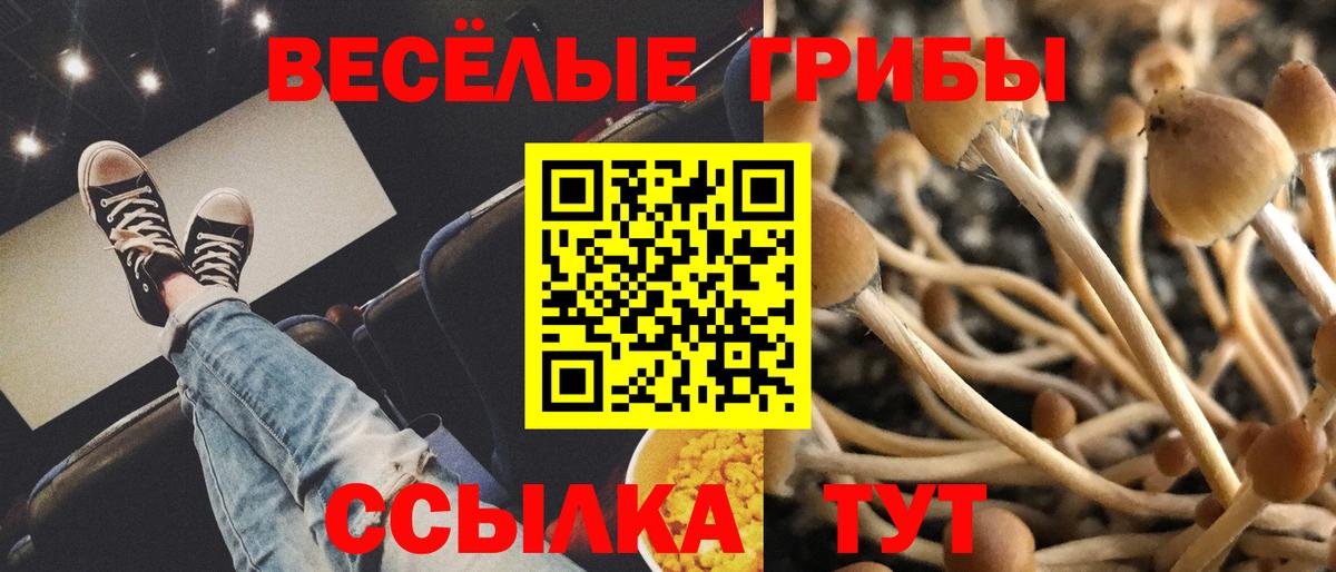 Галлюциногенные грибы прущие грибы Тихвин
